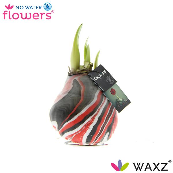 No Water Flowers Waxz® Artooz Earth Red(Decorum) – ↕15cm