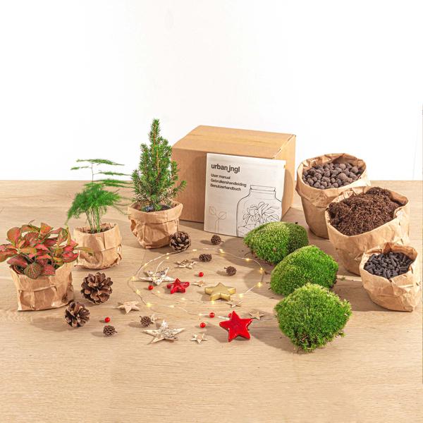 Planten terrarium pakket – Mini-kerstboom – 3 planten – Navulling & Startpakket – DIY Christmas