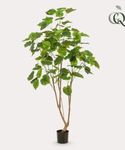 Kunstplant – Ficus umbellate – Afrikaanse vijg – 180cm